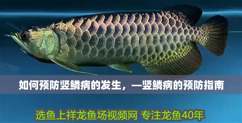 如何預(yù)防豎鱗病的發(fā)生，—豎鱗病的預(yù)防指南