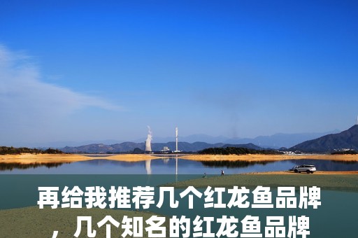 再給我推薦幾個紅龍魚品牌，幾個知名的紅龍魚品牌