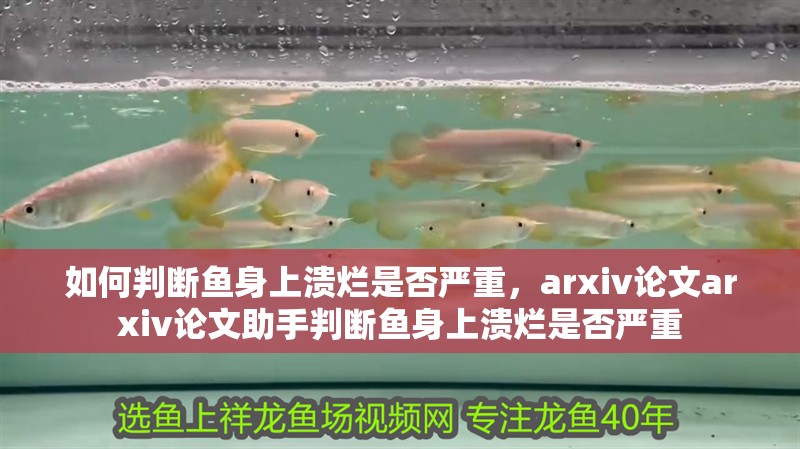 如何判斷魚身上潰爛是否嚴重，arxiv論文arxiv論文助手判斷魚身上潰爛是否嚴重