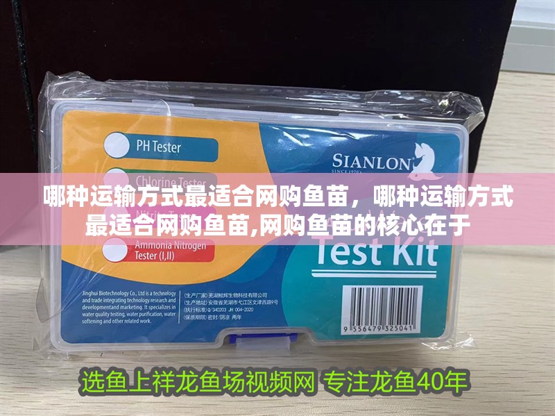 哪種運輸方式最適合網購魚苗，哪種運輸方式最適合網購魚苗,網購魚苗的核心在于