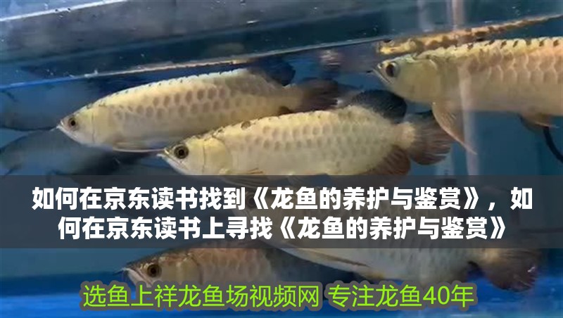 如何在京東讀書找到《龍魚的養(yǎng)護(hù)與鑒賞》，如何在京東讀書上尋找《龍魚的養(yǎng)護(hù)與鑒賞》