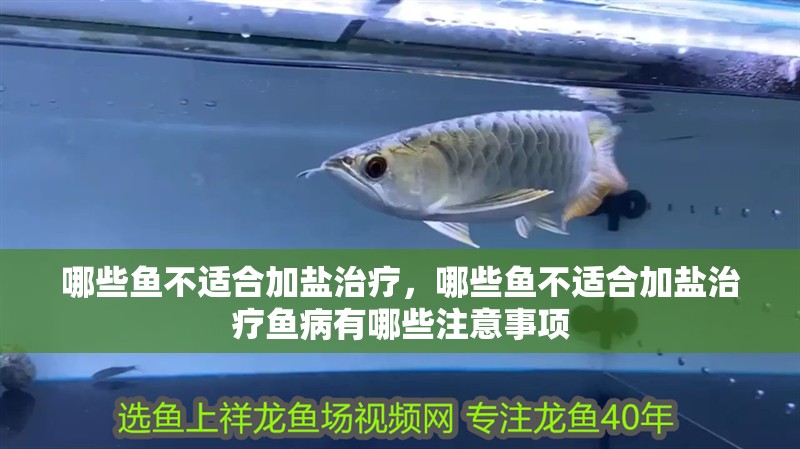 哪些魚不適合加鹽治療，哪些魚不適合加鹽治療魚病有哪些注意事項