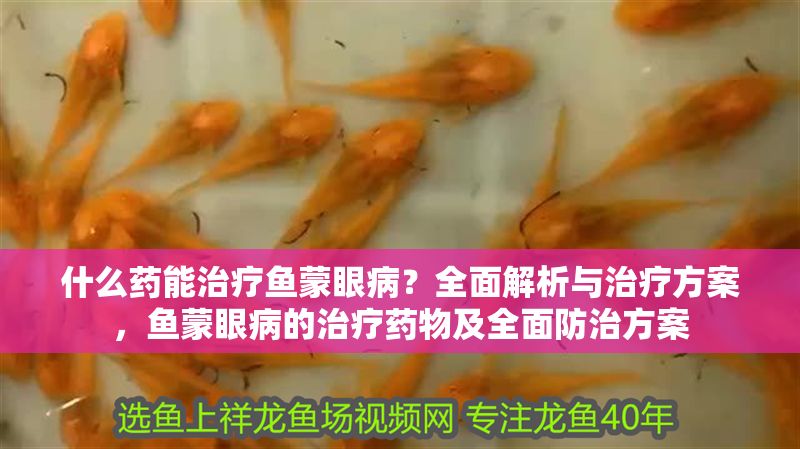 什么藥能治療魚蒙眼病？全面解析與治療方案，魚蒙眼病的治療藥物及全面防治方案