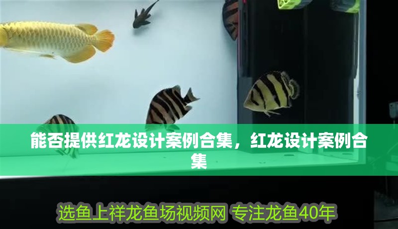 能否提供紅龍?jiān)O(shè)計(jì)案例合集，紅龍?jiān)O(shè)計(jì)案例合集