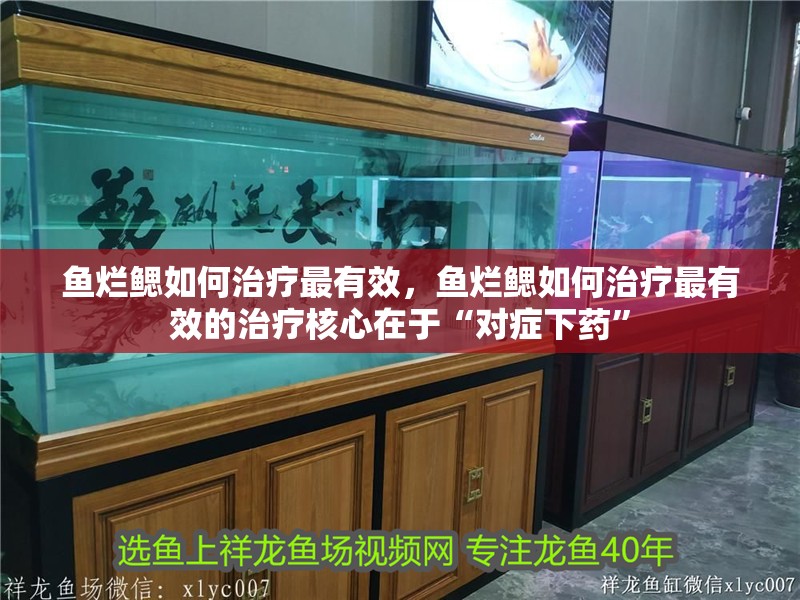 魚爛鰓如何治療最有效，魚爛鰓如何治療最有效的治療核心在于“對癥下藥”