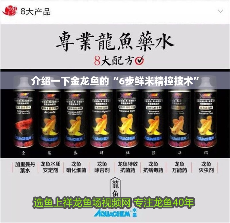 介紹一下金龍魚的“6步鮮米精控技術”