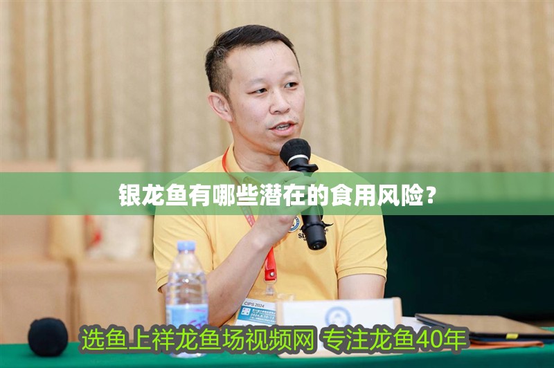 銀龍魚有哪些潛在的食用風險？