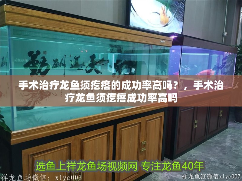 手術治療龍魚須疙瘩的成功率高嗎？，手術治療龍魚須疙瘩成功率高嗎