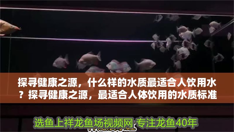 探尋健康之源，什么樣的水質最適合人飲用水？探尋健康之源，最適合人體飲用的水質標準解析