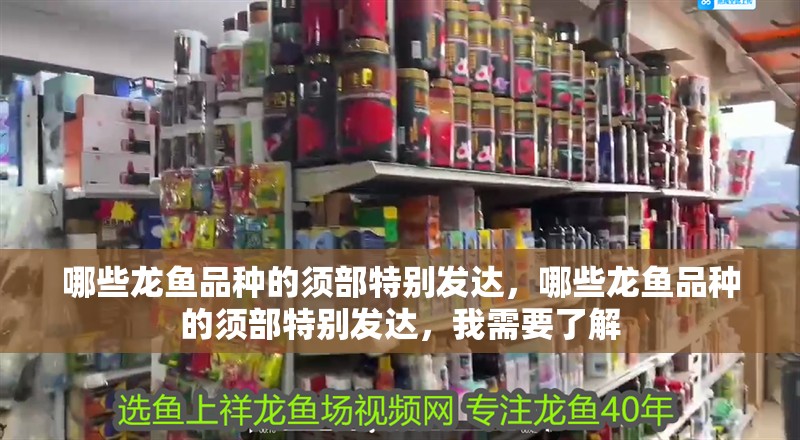 哪些龍魚品種的須部特別發達，哪些龍魚品種的須部特別發達，我需要了解