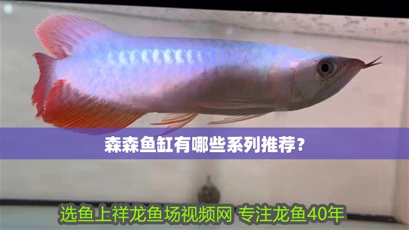 森森魚缸有哪些系列推薦？