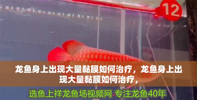 龍魚身上出現大量黏膜如何治療，龍魚身上出現大量黏膜如何治療，
