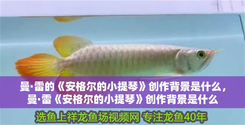 曼·雷的《安格爾的小提琴》創作背景是什么，曼·雷《安格爾的小提琴》創作背景是什么