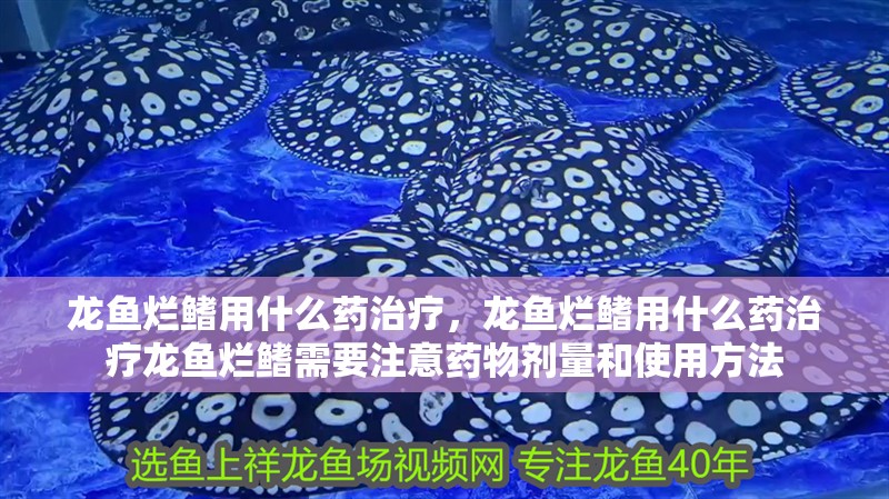 龍魚爛鰭用什么藥治療，龍魚爛鰭用什么藥治療龍魚爛鰭需要注意藥物劑量和使用方法