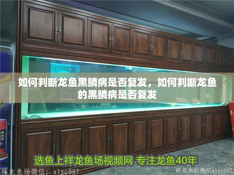 如何判斷龍魚黑鱗病是否復發，如何判斷龍魚的黑鱗病是否復發