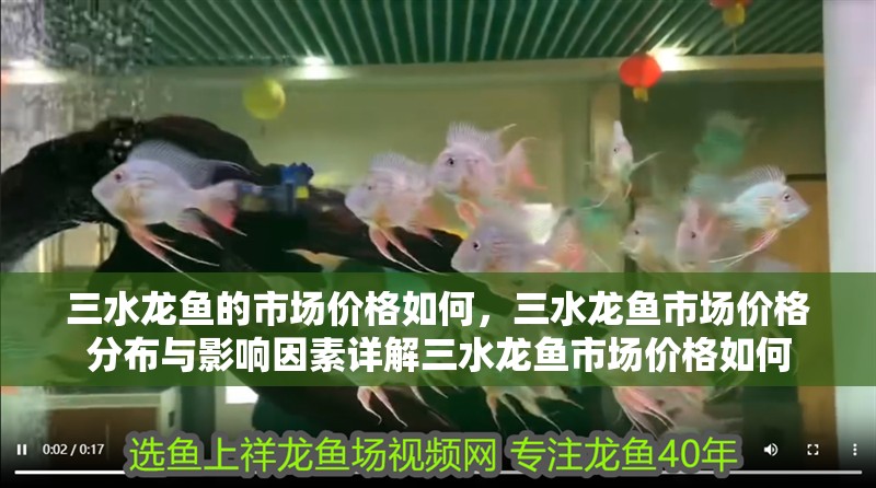 三水龍魚的市場(chǎng)價(jià)格如何，三水龍魚市場(chǎng)價(jià)格分布與影響因素詳解三水龍魚市場(chǎng)價(jià)格如何