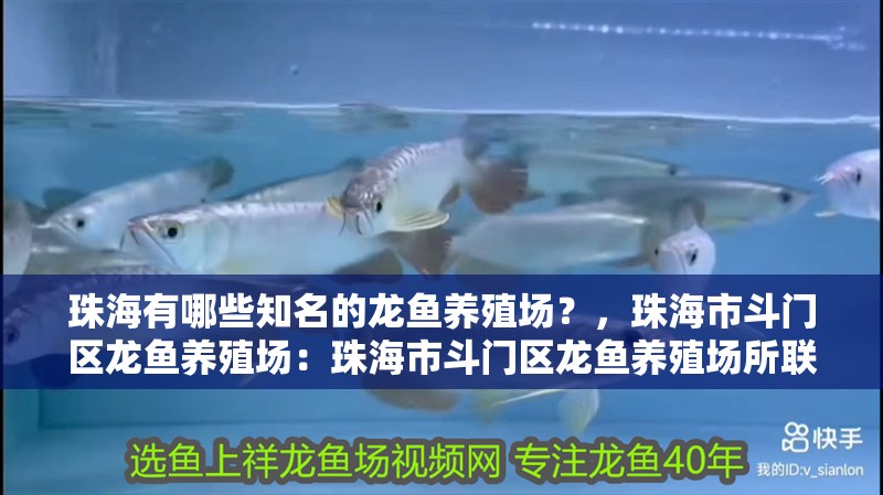 珠海有哪些知名的龍魚養殖場？，珠海市斗門區龍魚養殖場：珠海市斗門區龍魚養殖場所聯系方式