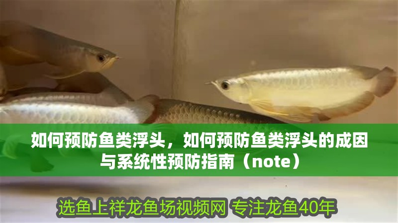 如何預(yù)防魚類浮頭，如何預(yù)防魚類浮頭的成因與系統(tǒng)性預(yù)防指南（note）