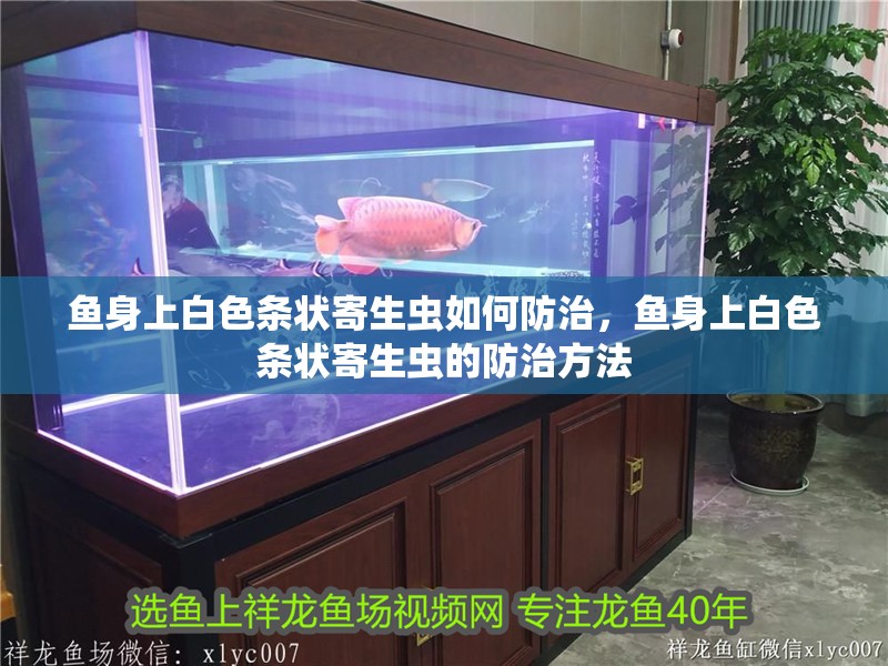 魚身上白色條狀寄生蟲如何防治，魚身上白色條狀寄生蟲的防治方法