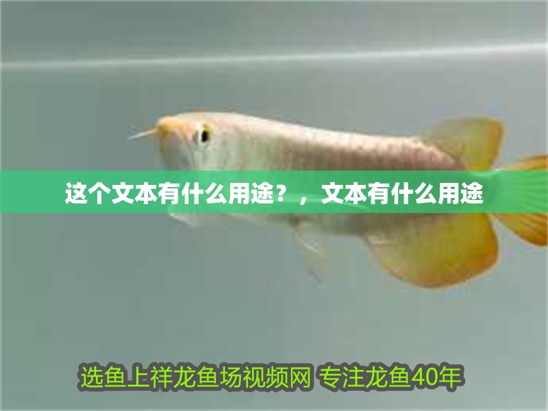 這個文本有什么用途？，文本有什么用途