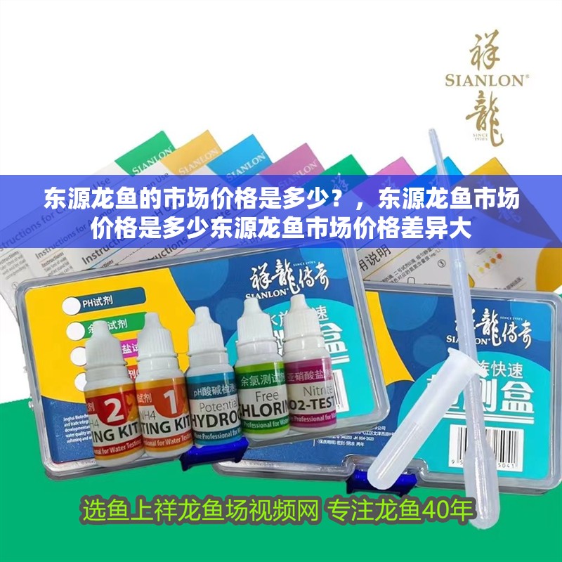 東源龍魚的市場價格是多少？，東源龍魚市場價格是多少東源龍魚市場價格差異大