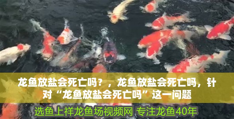 龍魚放鹽會死亡嗎？，龍魚放鹽會死亡嗎，針對“龍魚放鹽會死亡嗎”這一問題