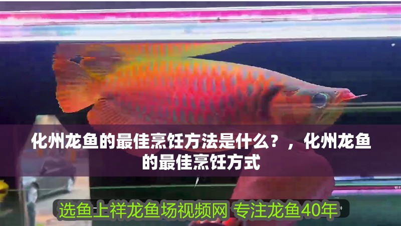 化州龍魚的最佳烹飪方法是什么？，化州龍魚的最佳烹飪方式