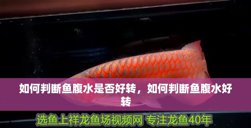 如何判斷魚腹水是否好轉，如何判斷魚腹水好轉