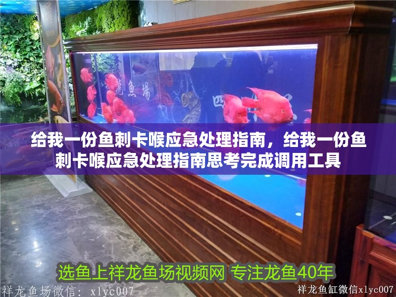 給我一份魚刺卡喉應急處理指南，給我一份魚刺卡喉應急處理指南思考完成調用工具