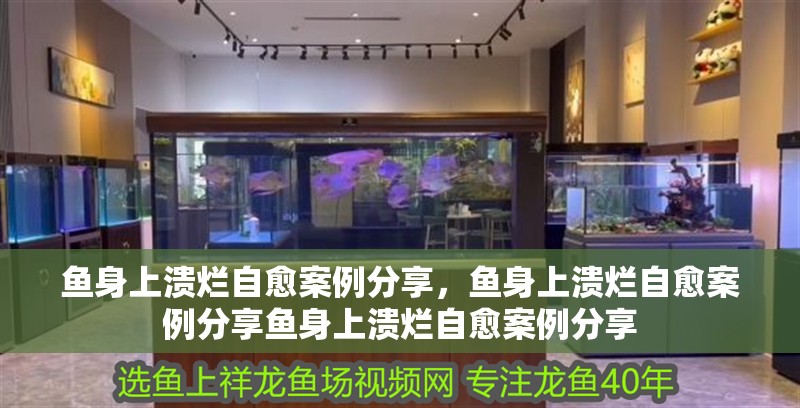 魚身上潰爛自愈案例分享，魚身上潰爛自愈案例分享魚身上潰爛自愈案例分享