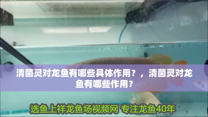 清菌靈對(duì)龍魚(yú)有哪些具體作用？，清菌靈對(duì)龍魚(yú)有哪些作用？