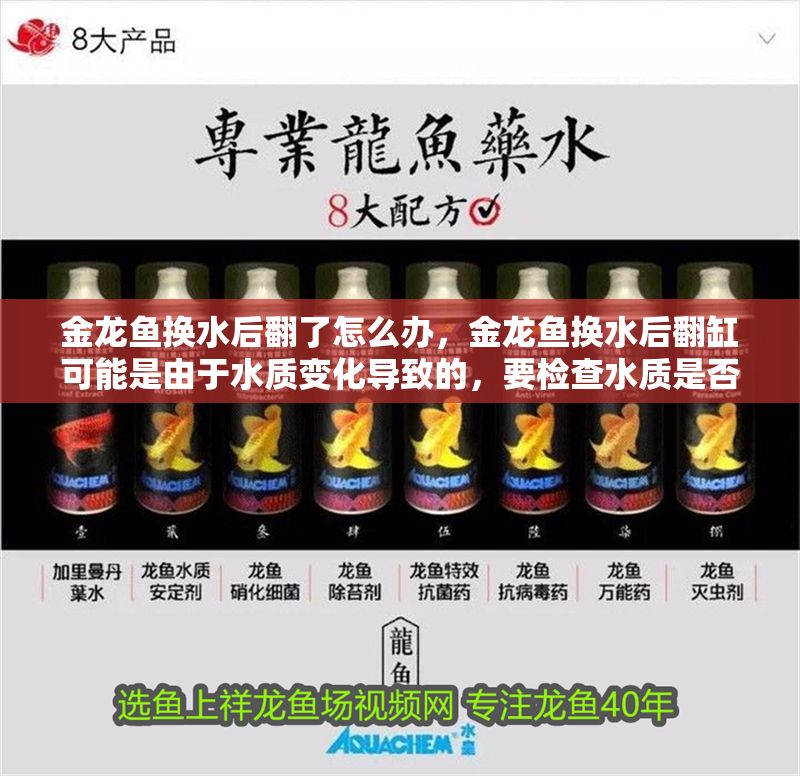 金龍魚換水后翻了怎么辦，金龍魚換水后翻缸可能是由于水質(zhì)變化導致的，要檢查水質(zhì)是否穩(wěn)定