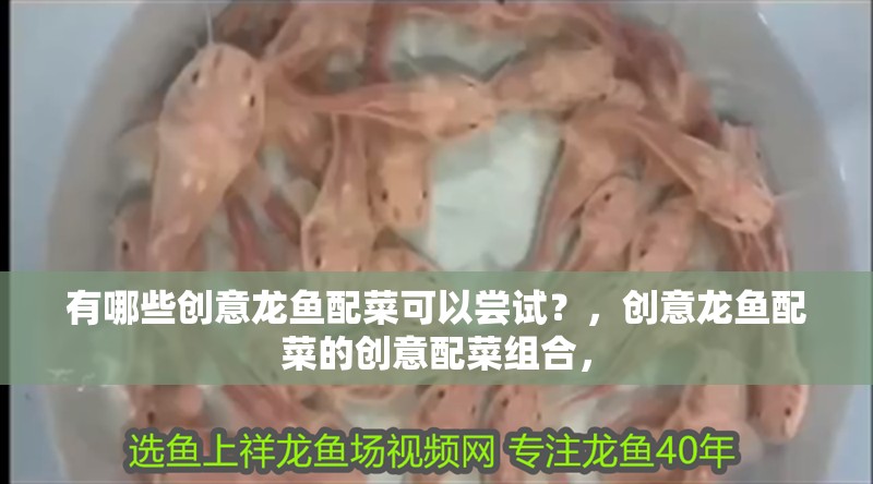 有哪些創意龍魚配菜可以嘗試？，創意龍魚配菜的創意配菜組合，