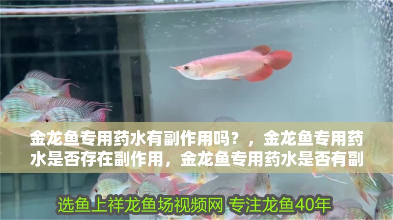 金龍魚專用藥水有副作用嗎？，金龍魚專用藥水是否存在副作用，金龍魚專用藥水是否有副作用