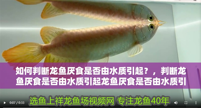 如何判斷龍魚厭食是否由水質(zhì)引起？，判斷龍魚厭食是否由水質(zhì)引起龍魚厭食是否由水質(zhì)引起
