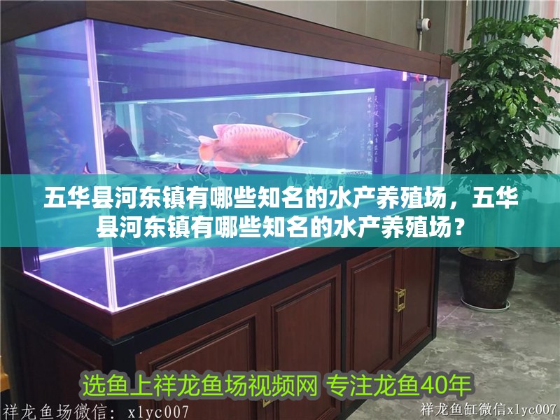 五華縣河東鎮(zhèn)有哪些知名的水產(chǎn)養(yǎng)殖場，五華縣河東鎮(zhèn)有哪些知名的水產(chǎn)養(yǎng)殖場？