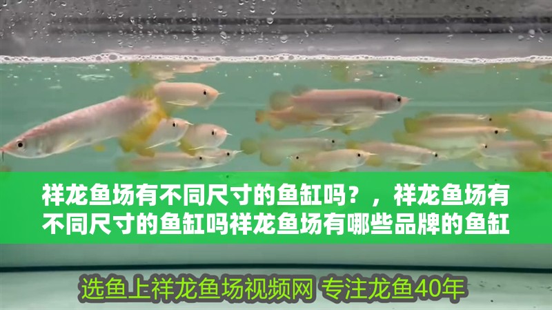 祥龍魚場有不同尺寸的魚缸嗎？，祥龍魚場有不同尺寸的魚缸嗎祥龍魚場有哪些品牌的魚缸
