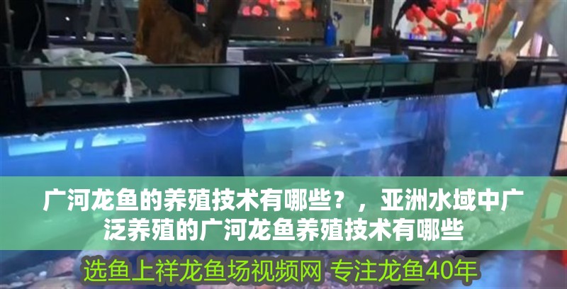 廣河龍魚的養(yǎng)殖技術(shù)有哪些？，亞洲水域中廣泛養(yǎng)殖的廣河龍魚養(yǎng)殖技術(shù)有哪些
