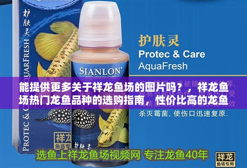能提供更多關于祥龍魚場的圖片嗎？，祥龍魚場熱門龍魚品種的選購指南，性價比高的龍魚魚缸