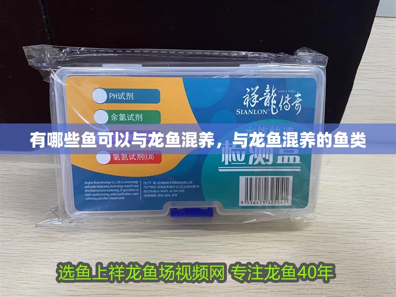 有哪些魚可以與龍魚混養，與龍魚混養的魚類