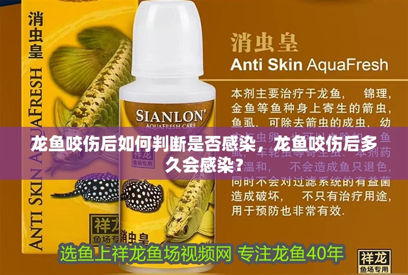 龍魚咬傷后如何判斷是否感染，龍魚咬傷后多久會感染？