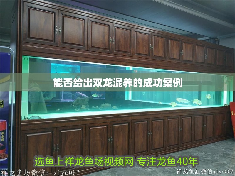 能否給出雙龍混養(yǎng)的成功案例