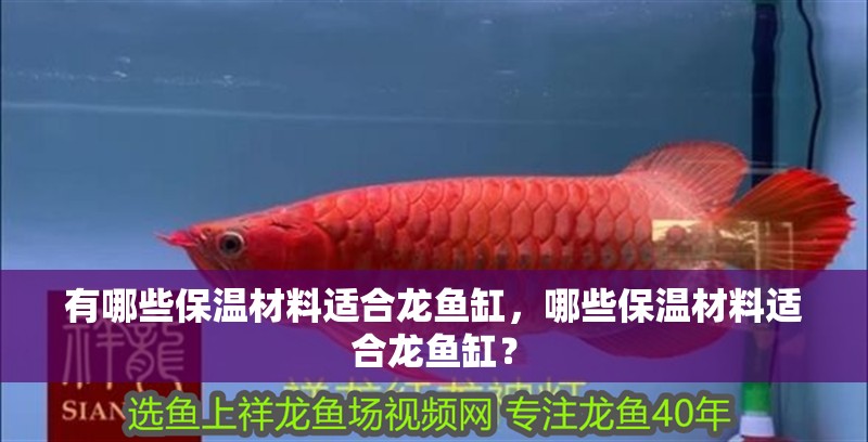 有哪些保溫材料適合龍魚缸，哪些保溫材料適合龍魚缸？