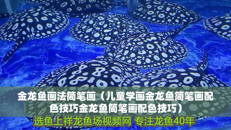 金龍魚畫法簡筆畫（兒童學畫金龍魚簡筆畫配色技巧金龍魚簡筆畫配色技巧）