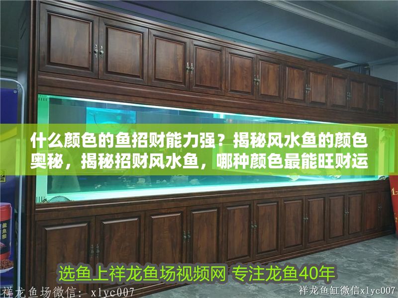 什么顏色的魚招財能力強？揭秘風水魚的顏色奧秘，揭秘招財風水魚，哪種顏色最能旺財運？