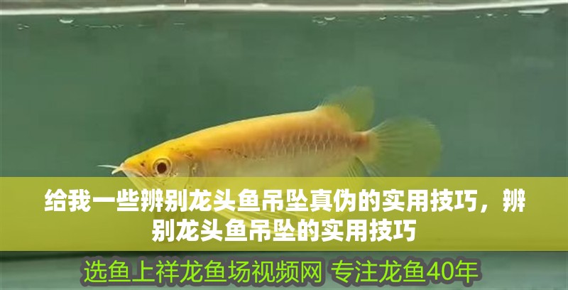 給我一些辨別龍頭魚吊墜真?zhèn)蔚膶嵱眉记桑鎰e龍頭魚吊墜的實用技巧