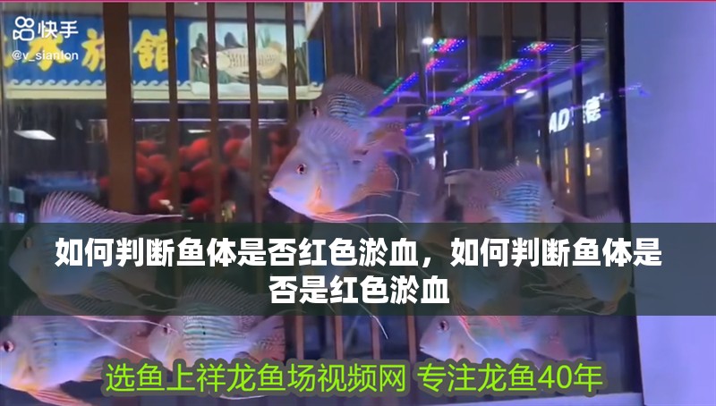 如何判斷魚體是否紅色淤血，如何判斷魚體是否是紅色淤血