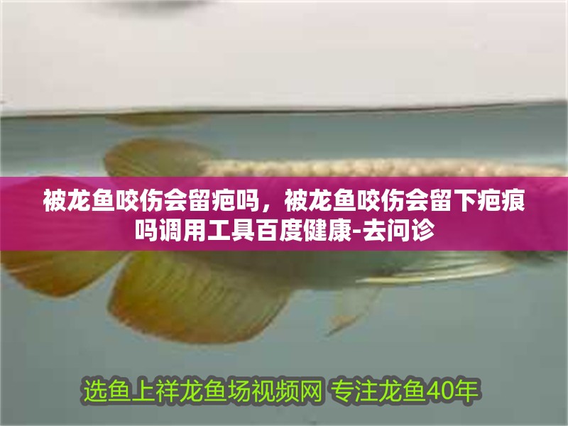 被龍魚(yú)咬傷會(huì)留疤嗎，被龍魚(yú)咬傷會(huì)留下疤痕嗎調(diào)用工具百度健康-去問(wèn)診