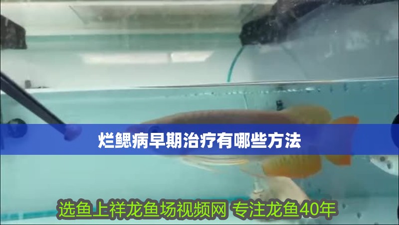 爛鰓病早期治療有哪些方法