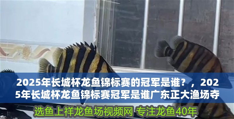 2025年長城杯龍魚錦標賽的冠軍是誰？，2025年長城杯龍魚錦標賽冠軍是誰廣東正大漁場奪冠